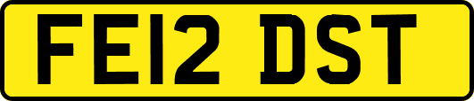FE12DST