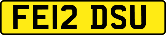 FE12DSU