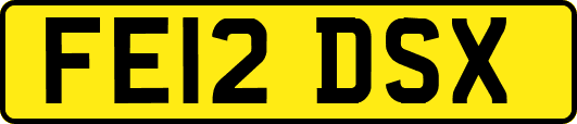 FE12DSX