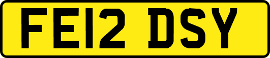 FE12DSY