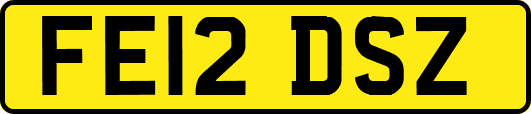 FE12DSZ