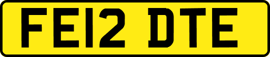 FE12DTE