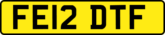 FE12DTF