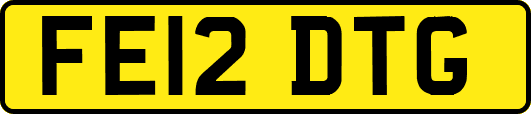 FE12DTG