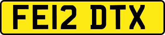 FE12DTX