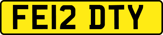 FE12DTY