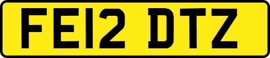 FE12DTZ