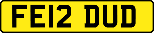 FE12DUD