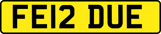 FE12DUE