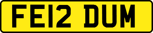 FE12DUM