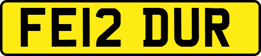 FE12DUR