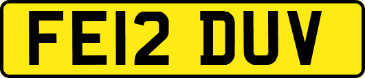 FE12DUV