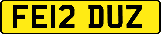 FE12DUZ