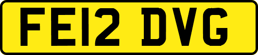 FE12DVG