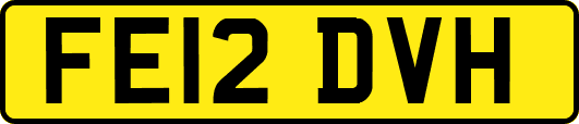 FE12DVH