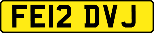 FE12DVJ