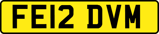 FE12DVM