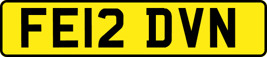 FE12DVN