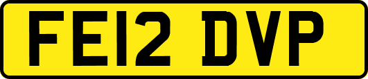 FE12DVP