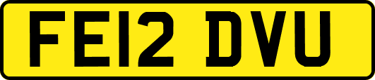 FE12DVU