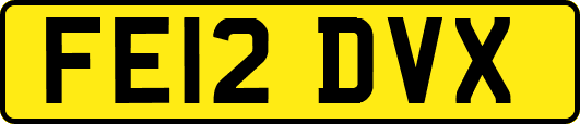 FE12DVX