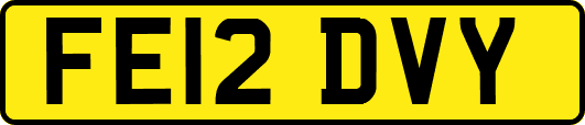 FE12DVY