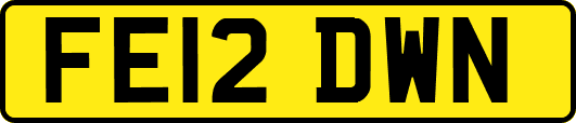FE12DWN