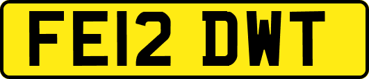 FE12DWT