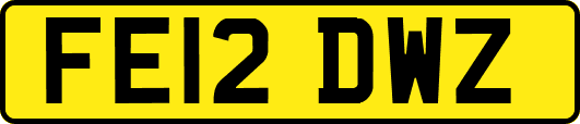 FE12DWZ