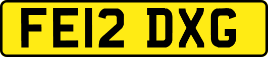 FE12DXG