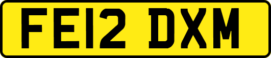 FE12DXM