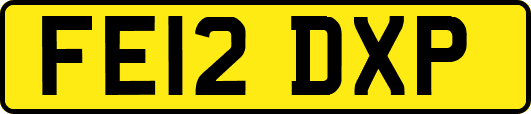 FE12DXP