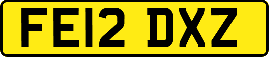 FE12DXZ