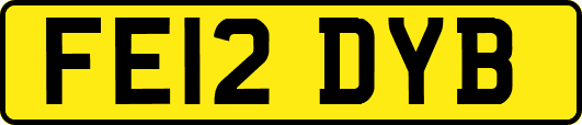 FE12DYB
