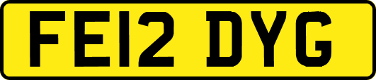 FE12DYG