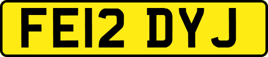 FE12DYJ