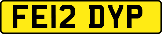 FE12DYP
