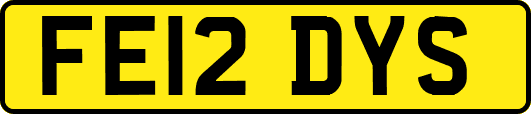 FE12DYS