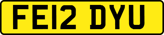 FE12DYU