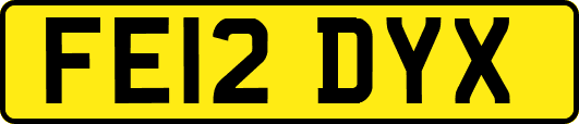 FE12DYX
