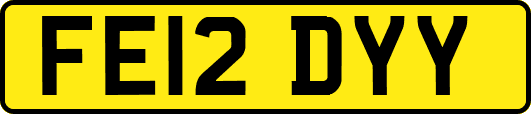 FE12DYY