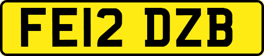 FE12DZB