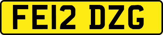 FE12DZG