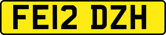 FE12DZH