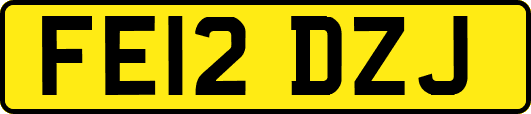 FE12DZJ