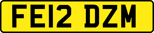 FE12DZM