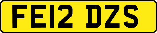 FE12DZS