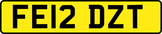 FE12DZT