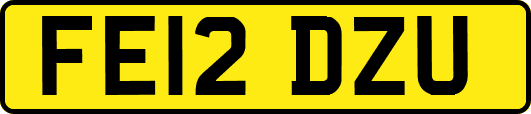 FE12DZU