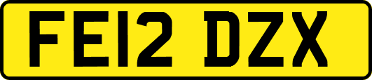 FE12DZX